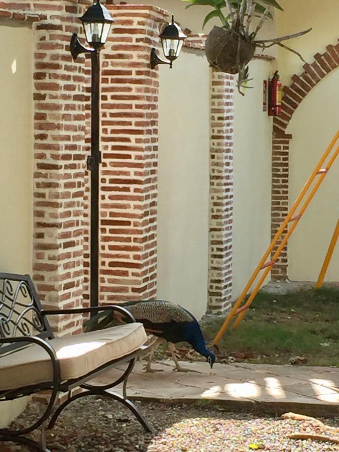 Hotel Yamili Punta Cana Kültér fotó